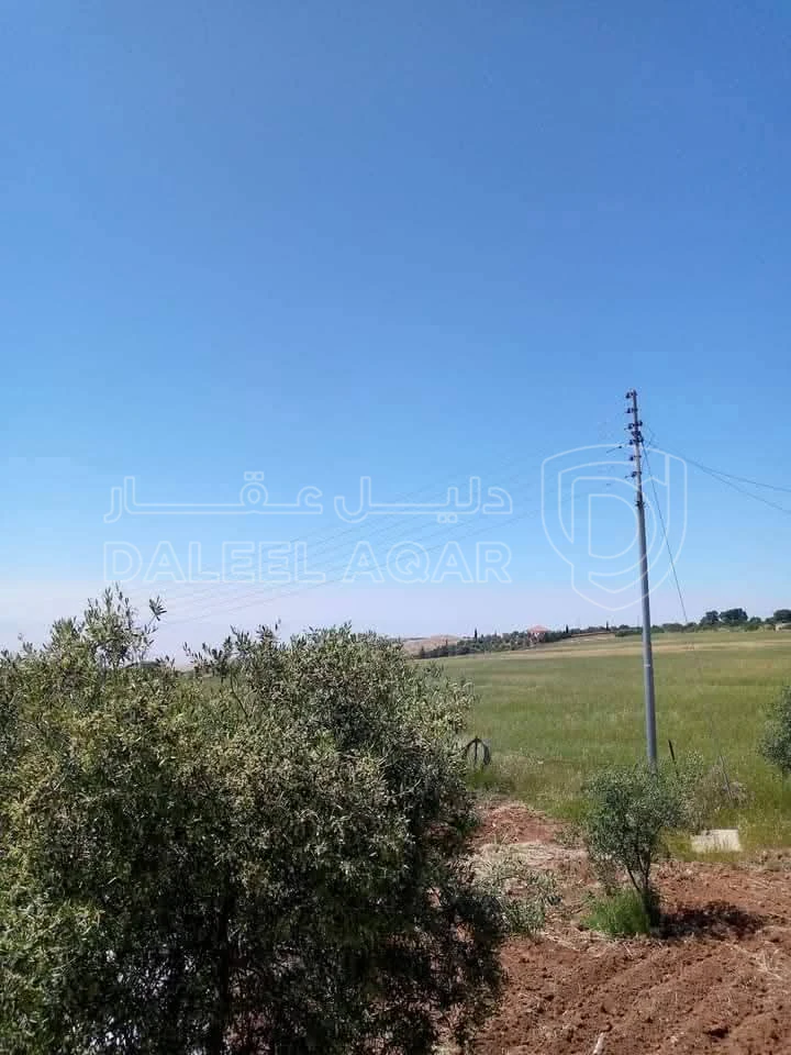 أرض في مادبا - الفيصلية  - 148,750 دأ - صورة 1
